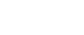 VISA Logo